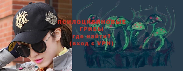 метадон Алексин