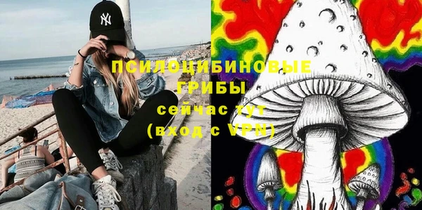 Альфа ПВП Алзамай