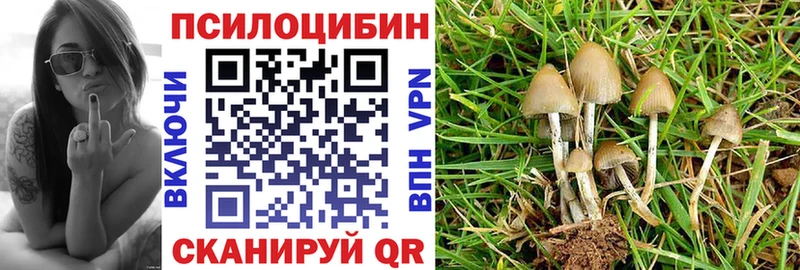 Псилоцибиновые грибы прущие грибы  KRAKEN как зайти  Любим 